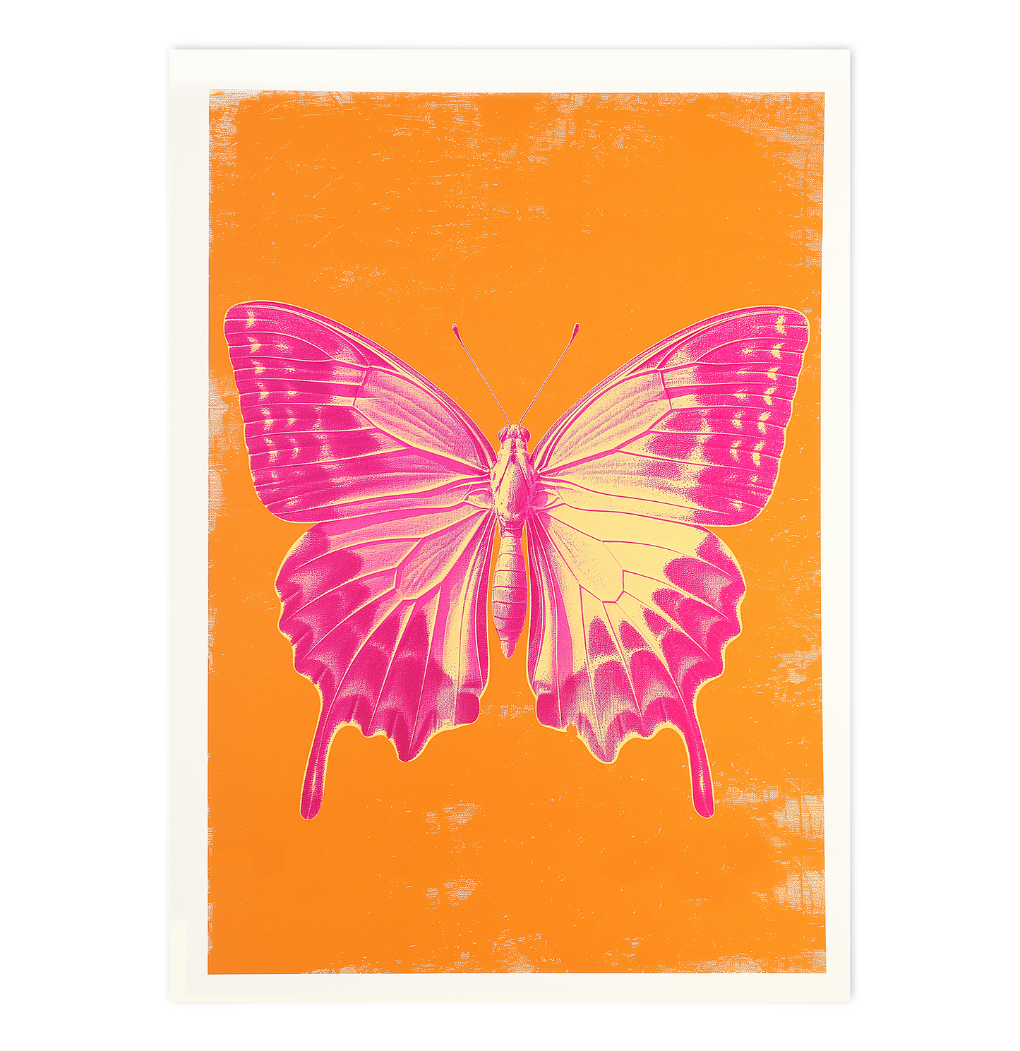 Pink Butterfly