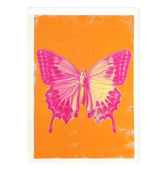 Pink Butterfly