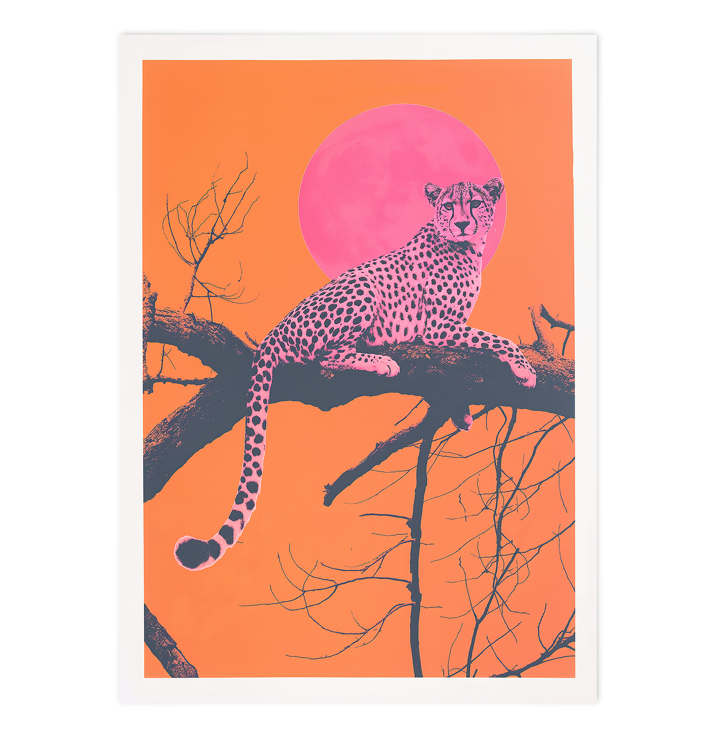 Pink Cheetah and Sunset Vibes