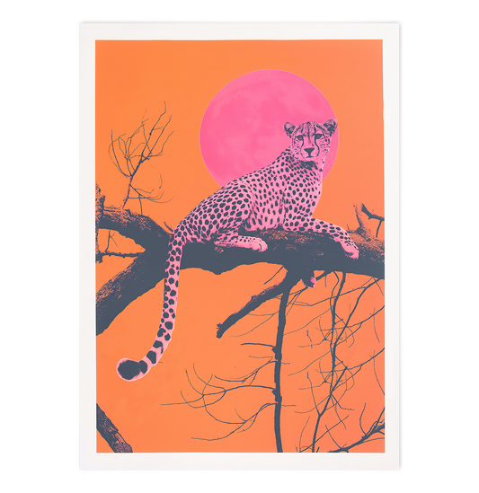 Pink Cheetah and Sunset Vibes