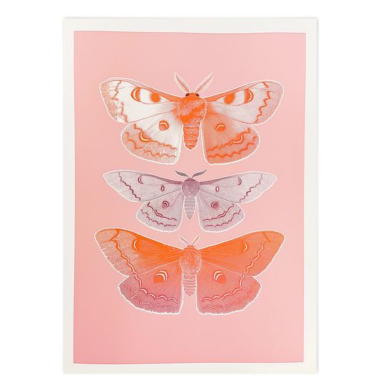 Trio of pink Butterflies 02