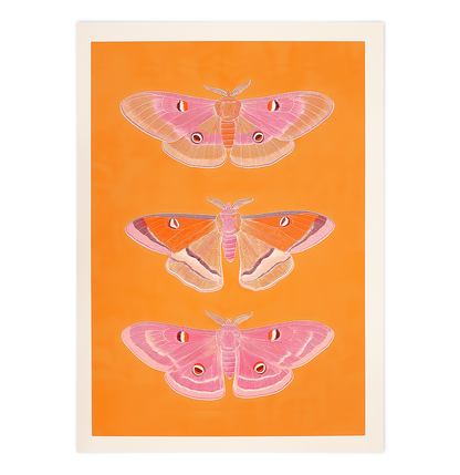 Trio of pink Butterflies 01