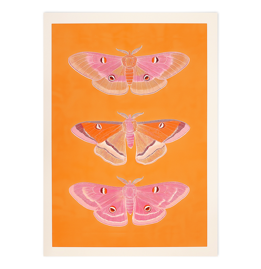 Trio of pink Butterflies 01